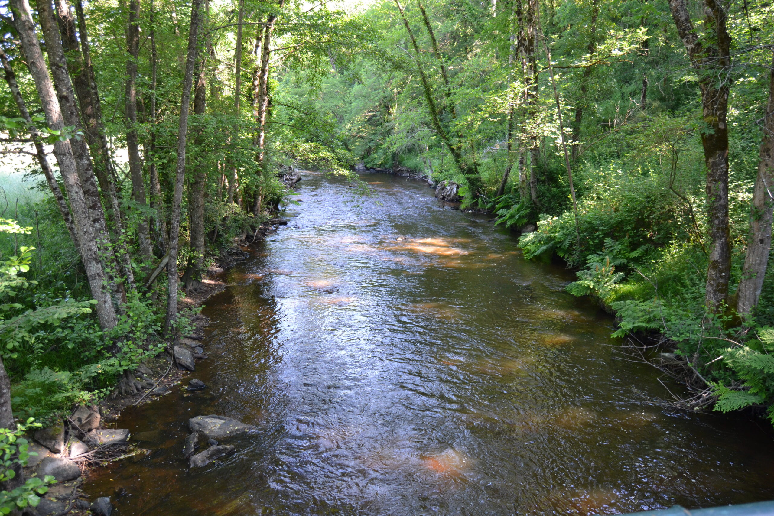 Rivier - Stroomafwaarts